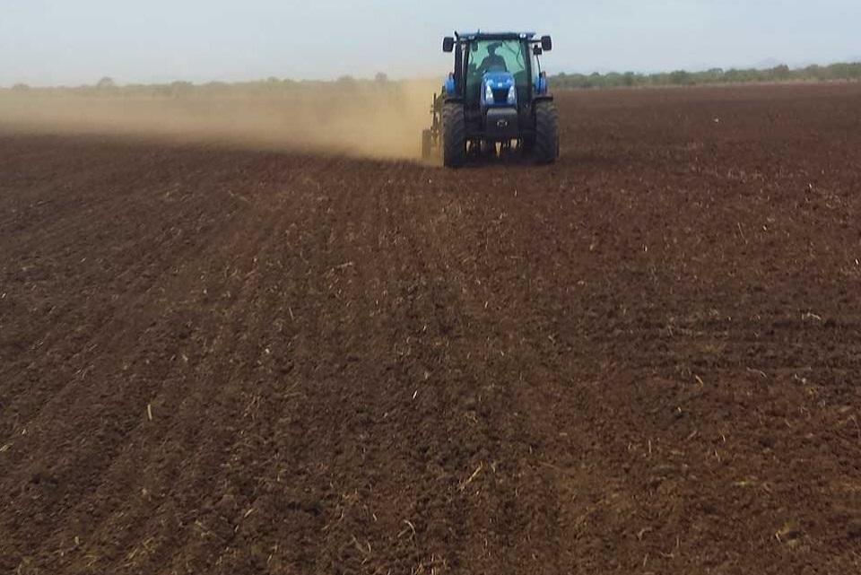 farm_planning-field_office-agriculture_tanzania_uganda_kenya.jpg